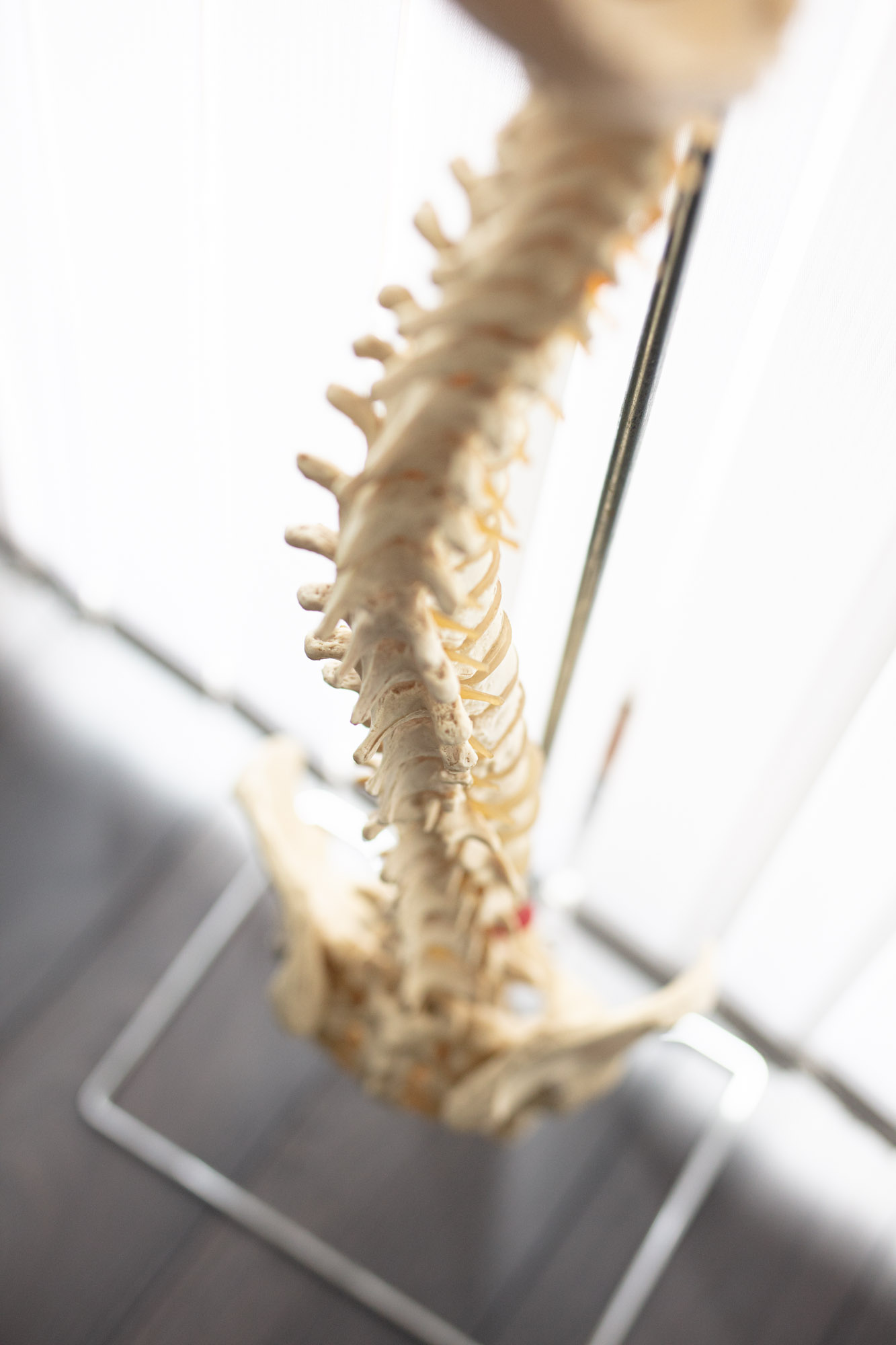 Masters Osteopaths - Westcliff-on-Sea